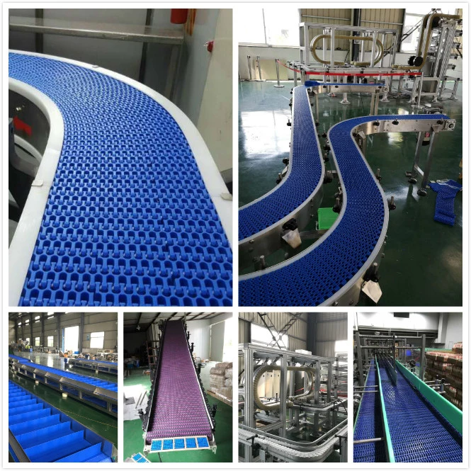 Hairise Food Grade Modular Belt Conveyor System with ISO